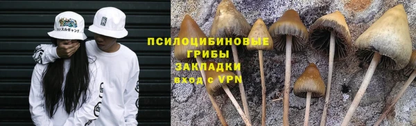 ALPHA PVP Беломорск